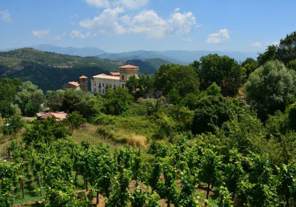 Passeggiate naturalistiche Monte Stella (6)