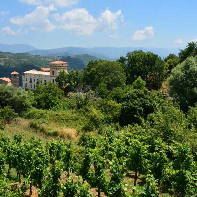 palazzo-coppola-panorama